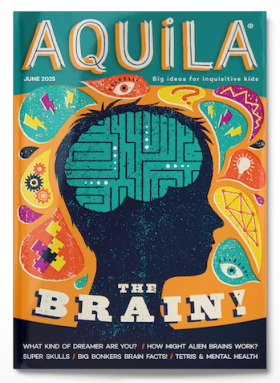 Brain 3d