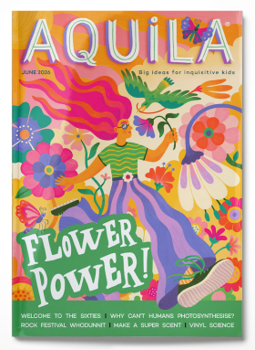 Flower Power 3d